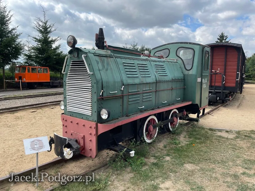 Wenecja i Biskupin, zdjęcie 6